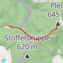 thumbnail for Pleßturm