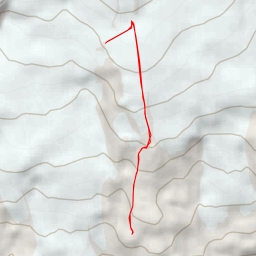 thumbnail for Приют LEAPRUS