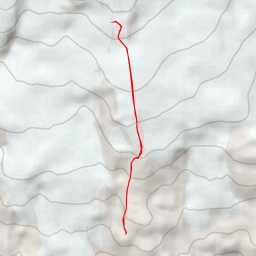 thumbnail for Приют 88