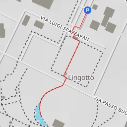 thumbnail for Viale Augusto Monti - Torino