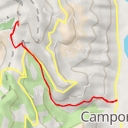 thumbnail for Case Magauda