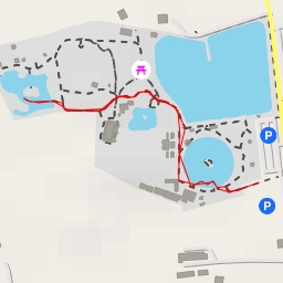 thumbnail for Zoom Torino - SP146