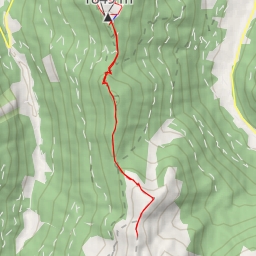 thumbnail for Schneider