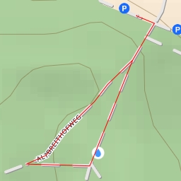 thumbnail for Natur trifft Holzkunst: Im Forst, im Tann - Altbreithofweg