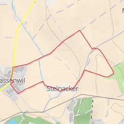 thumbnail for Rüchlig