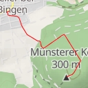thumbnail for Münsterer Kopf