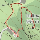 thumbnail for Haliny