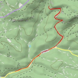 thumbnail for Velký tetřev