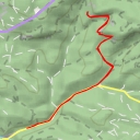 thumbnail for Malý tetřev