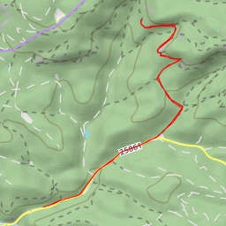 thumbnail for Malý tetřev