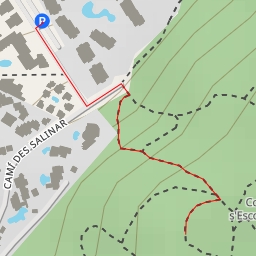 thumbnail for Carrer de Llimoner