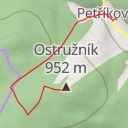 thumbnail for Ostružník