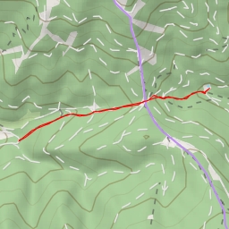 thumbnail for Wirtalm