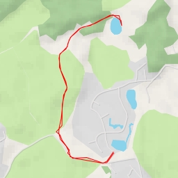 thumbnail for Как зарастают луга - Заячья тропа