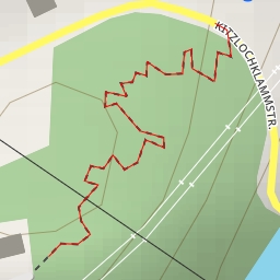 thumbnail for Schlossberg