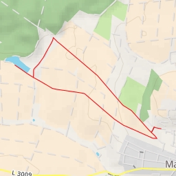 thumbnail for L 3009