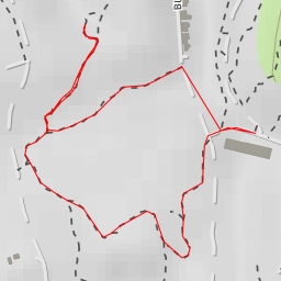 thumbnail for Burgronn