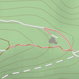 thumbnail for Совите