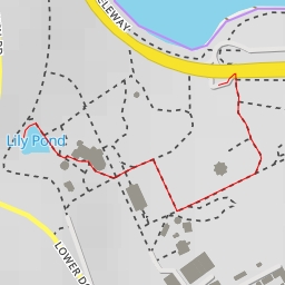 thumbnail for Lily Pond