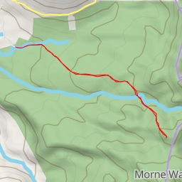 thumbnail for Morne Nicholls