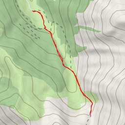 thumbnail for Orgeix