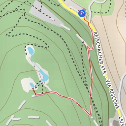 thumbnail for Reischacher Straße - Via Riscone