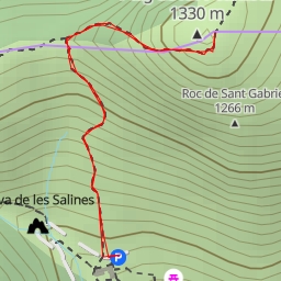 thumbnail for Pic de les Salines