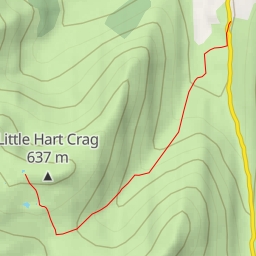 thumbnail for Black Brow