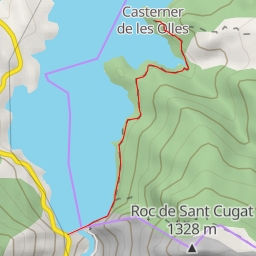 thumbnail for Camí de Castener de les Olles - Camí de Castener de les Olles