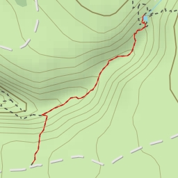 thumbnail for דבורה