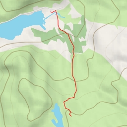 thumbnail for Roman Steps - Roman Steps