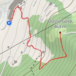 thumbnail for Dosso Gose