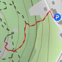 thumbnail for Hinterer Wiesenstein