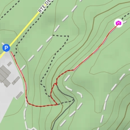 thumbnail for Edelweiss