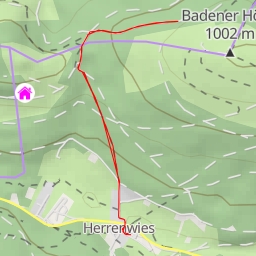 thumbnail for Panoramabank - Baden-Baden