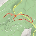 thumbnail for Alerce del Vivero de Mojonavalle - Senda del Arroyo del Sestil del Maíllo y de la Ladera de Mojonavalle