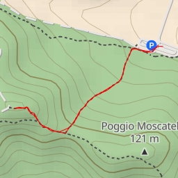 thumbnail for Test - Test