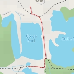 thumbnail for Brandon Lane