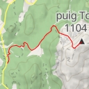 thumbnail for puig Tomir