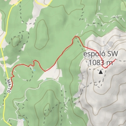 thumbnail for puig Tomir