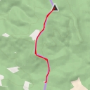 thumbnail for Gruba Buczyna / Hrubá bučina