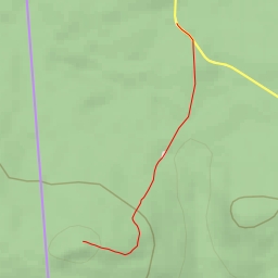 thumbnail for Włoska Sosna