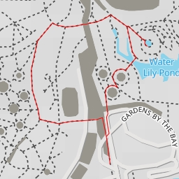 thumbnail for Victoria Lily Pond - Gardens by the Bay - Singapore