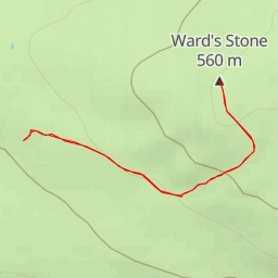 thumbnail for Ward's Stone