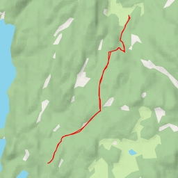 thumbnail for GRÅSKARVEN