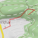 thumbnail for Birkenblick