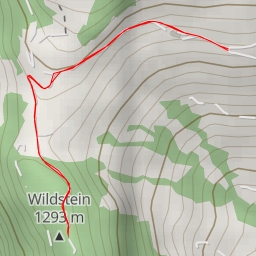 thumbnail for Wildstein