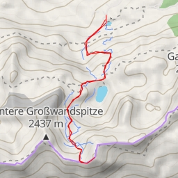 thumbnail for Glöcknerin
