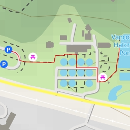 thumbnail for Vancouver Hatchery Pond