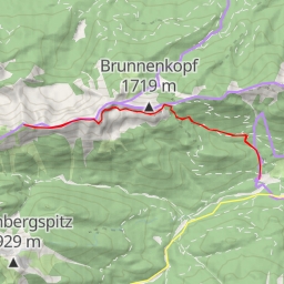 thumbnail for Feigenkopf